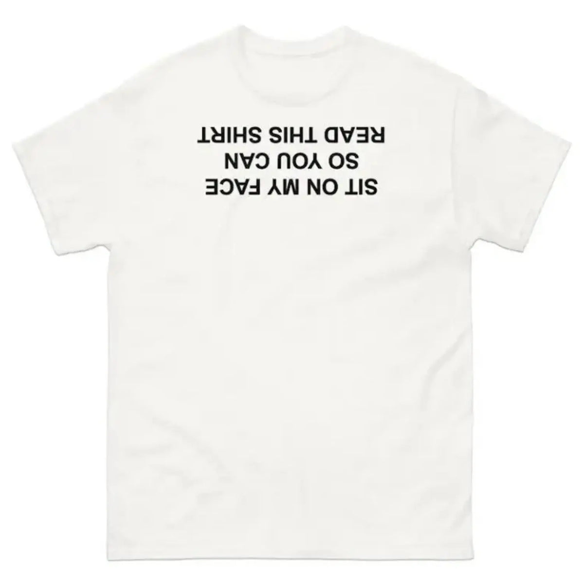 Sit On My Face So You Can Read This T-Shirt, Adult funny T-shirt, Gift for Woman and Man